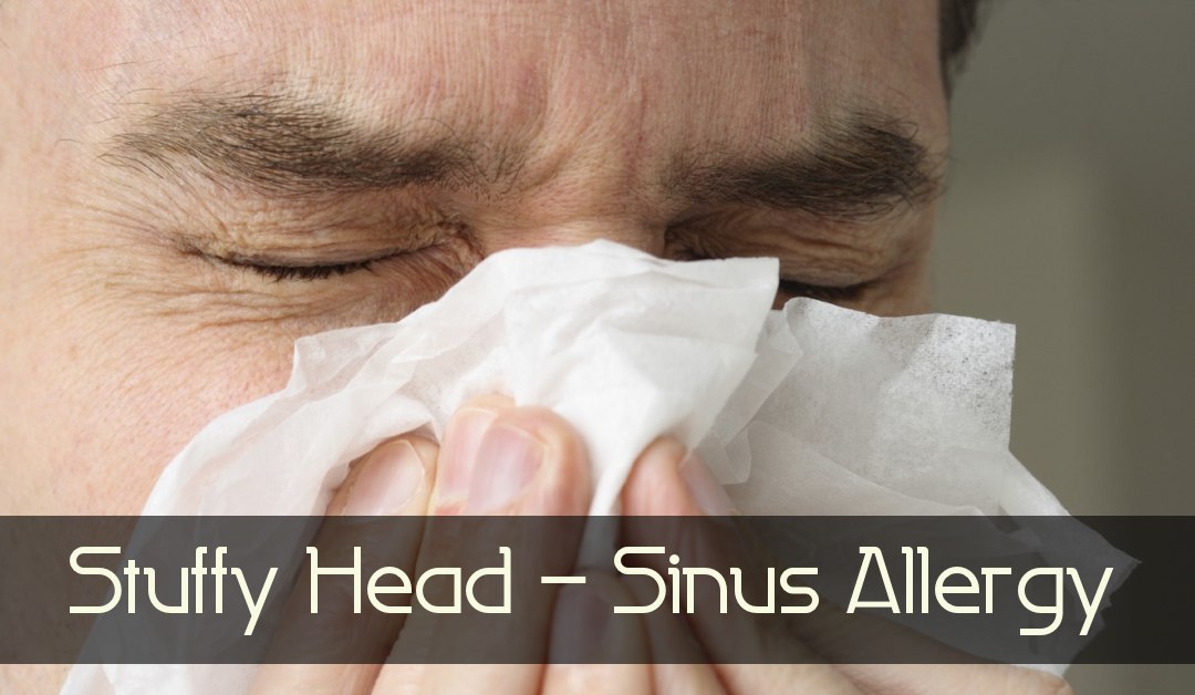 Stuffy Head Sinus Allergy Allergies Homeopathic Remedy Holistic Natural Medicine Center Lakeland Central Florida