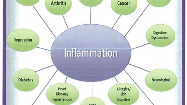 Inflammation Diagram
